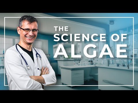 The Science of ALGAE