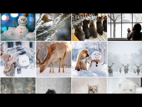 Christmas Wallpapers Christmas Video