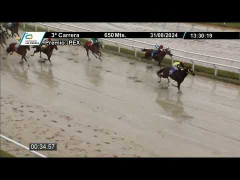 CARRERAS HIPODROMO LAS PIEDRAS - 240831 c03