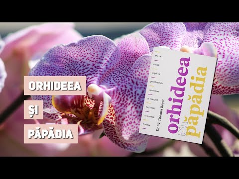 Semn de carte Ep. 236 - W. Thomas Boyce - Orhideea și păpădia
