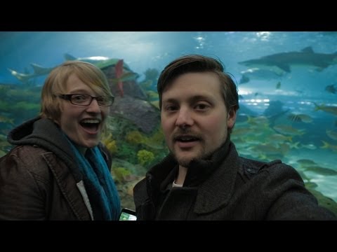 Aquavlog (Ripley's Aquarium, Birthday, and Crazy Animals)