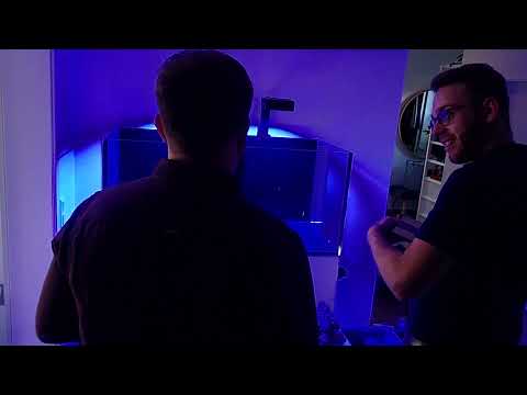 Red Sea Reefer 425 XL - Aufbau & Einrichtung