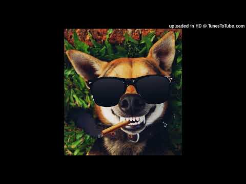 [FREE] Pluck Type Beat "Saoul" || Instru Rap 2022