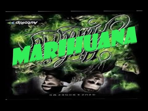Marihuana (Auf dem Fahrrad) - Rückwärts - 187 Strassenbande