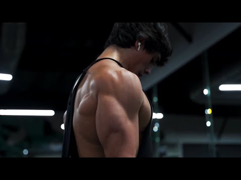 GYM HARDSTYLE x Wild Ones (ANTVN Hardstyle Remix)