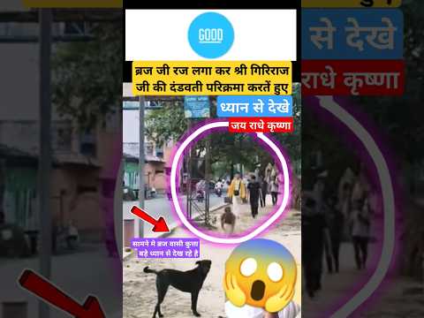 #dog #emotional #govardhan #vrindavan #braj #dust #upnews #krishna #bhakti #radheradhe #shortsfeed