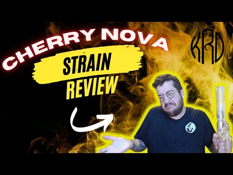 Cherry Nova Strain