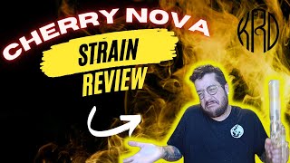 Is Cherry Nova from KRD worth the hype
