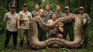 Top 10 Times Humans Caught the Biggest Python