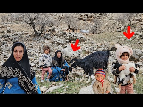 Khadija and Najla's joy over the sheep's birth and Khadija helping the sheep in labor