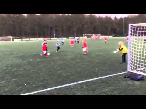 HDS F2 - Hercules F8 (06-02-2016)