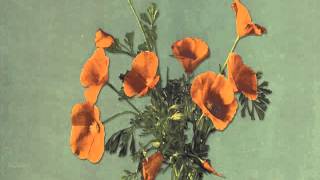 Really Old Airplanes - Crown