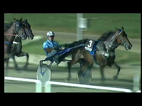 Napoli Trotto 06/08/2022 - 9ª corsa