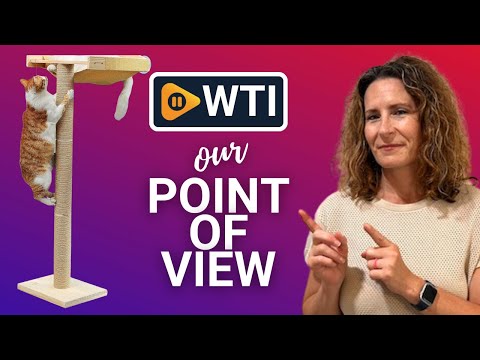 Cat Window Hammock with Scratching Posts - WTI product video review
