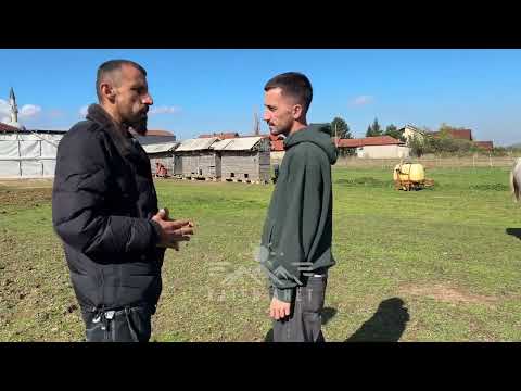 "Kangall me tiger del halo ma i egër"/ 1000 krerë dele, dhi, kuaj e lopë në fermën e Hidajet Gurit