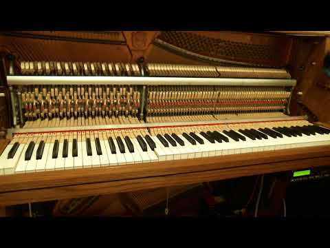 download lagu mp3 mp4 Novelty Piano ings 1912 1928, download mp3 Novelty Piano ings 1912 1928 free download, download mp3 Novelty Piano ings 1912 1928