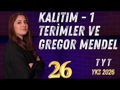 26) TYT 2026 BİYOLOJİ - KALITIM 1 - TERİMLER VE GREGOR MENDEL - ADIM ADIM ZİRVEYE