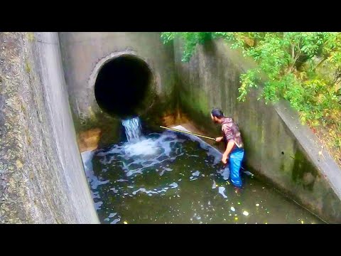 Kongelaks på krogen