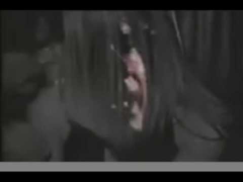 Peter Gallagher and Kelly Rowan [SONG]