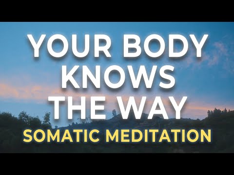 The Nervous System as Your Sacred Messenger | Somatic Meditation for Deep Healing