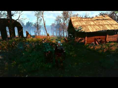 Let's Play Witcher 3 The Wild Hunt Pt. 47