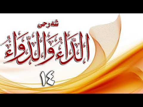 وانەی چواردەیەم