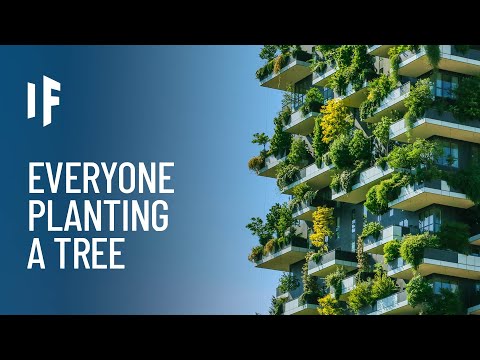 What If Everyone Planted a Tree on Their Birthday?