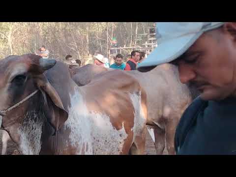 Tiangue de El Transito San Miguel El Salvador On 10/03/2026 