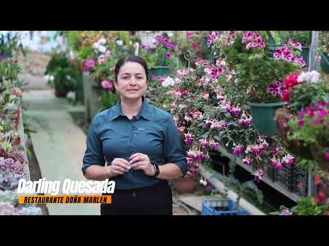 Restaurante y Cabañas Doña Marlen, en San Gerardo de Dota San José, Costa Rica