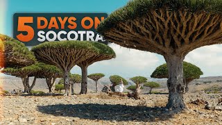 5 Days on Socotra - DJI Mavic 4 Pro + LUMIX S5 IIX Cinematic
