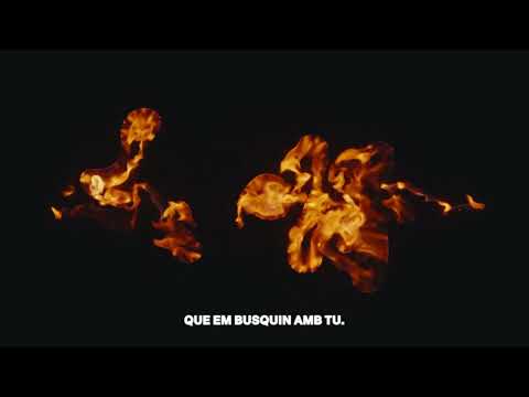 La Casualitat - Ginestà