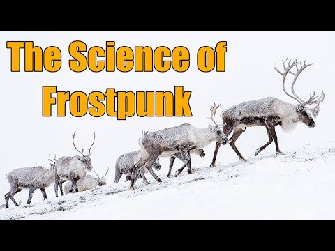 How could animals survive in Frostpunk?