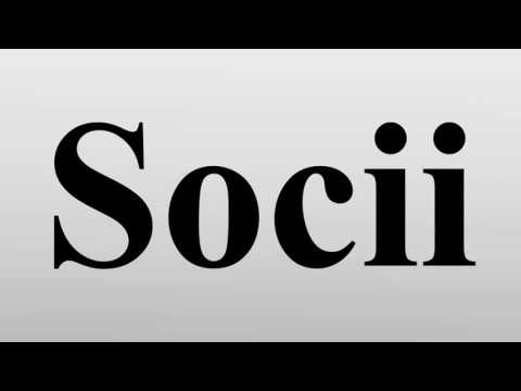 Socii