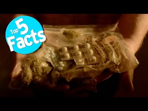 Top 5 Facts: Tripping Balls