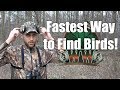 How To QUICKLY Find And Pattern Turkeys Turkey Hunting
