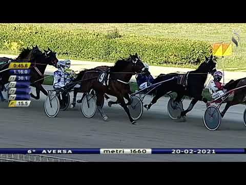 Aversa trotto 20 Febbraio 2021 - 6° Corsa