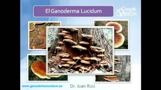preview picture of video '¿QUE ES EL GANODERMA LUCIDUM? LLEGO A TALARA PIURA SULLANA'