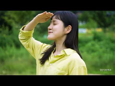 최우수상 "편안한 동쪽 안동으로의 여행 쓸필름 4K" 미리보기 사진