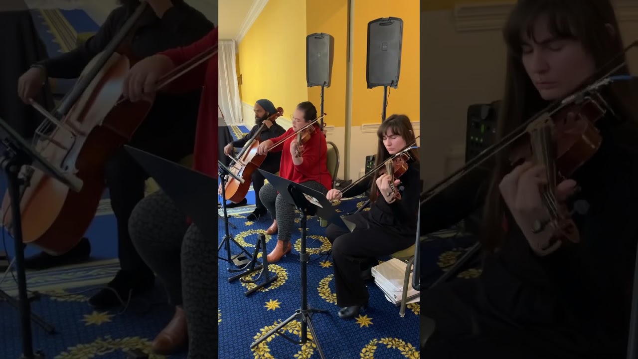 Promotional video thumbnail 3 for La Primavera Strings