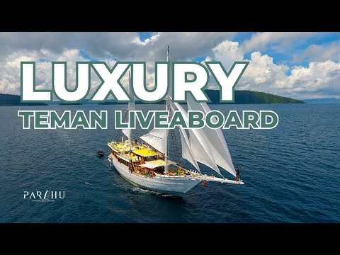 Teman Liveaboard dan Diving Raja Ampat, Banda, Triton Bay, Labuan Bajo dan Halmahera Indonesia