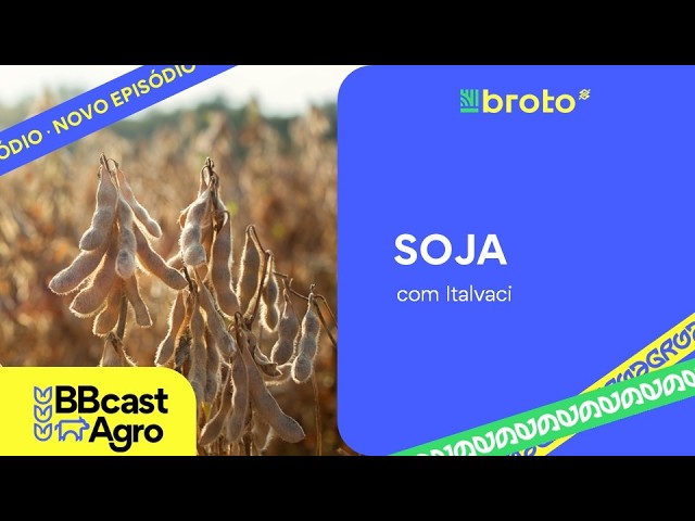 Soja: demanda chinesa e clima nos EUA elevam indicador Cepea | BBcast Agro - 10/07/2026