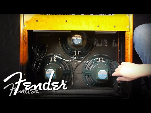How To | Changing Amplifier Speakers | Fender