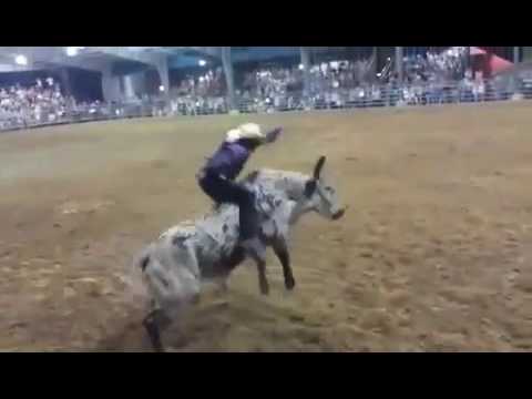 Gary Richard Jr Bulverde,Tx 2015 81 points