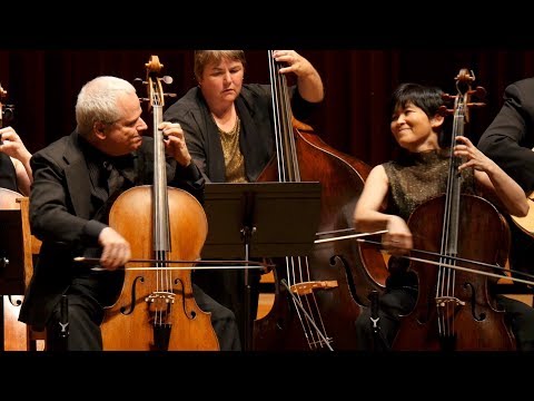 VIVALDI - Concerto for Two Cellos – René Schiffer, Mimé Brinkmann – Apollo's Fire