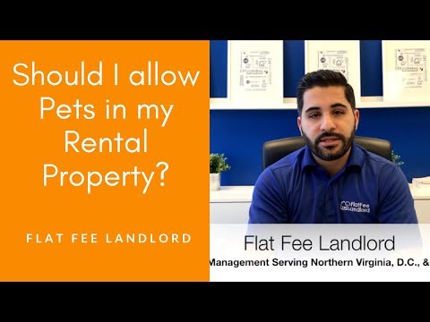 Should you allow Pets in Your Rental Property? Flat Fee Landlord Property Management