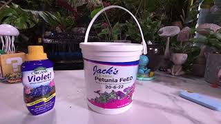 The Truth About Fertilizing Houseplants During Winter