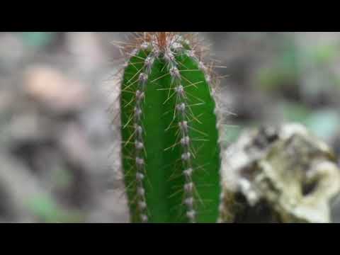 Quebrada de los Cuervos || Treinta y Tres Uruguay
