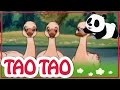 Tao Tao - épisode 25 - Le vilain petit canard - Episode complet
