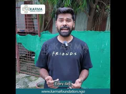 Help Us Bring the K-Laser to Karma Hospital