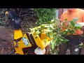 Hedge Reduction Using HAECKSLER Chipper